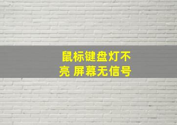 鼠标键盘灯不亮 屏幕无信号